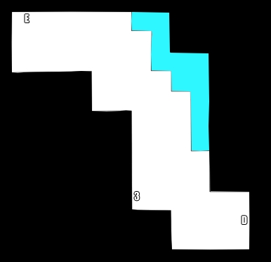 �n��̌� �}�b�v5